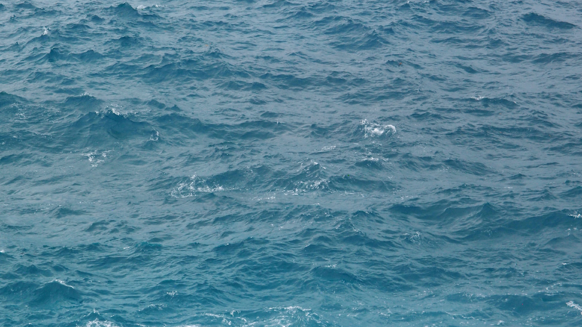 2022-11-05 14 Uhr 23 das Meer (Audio, Video)